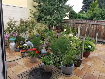 MFH in Erfurt mit Ladengschäft