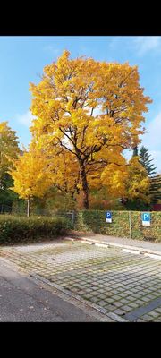 Ismaning, Maklerfrei, EG, ruhig, Südseite, Isarnähe, alters-, kindergerecht, Bezug sofort