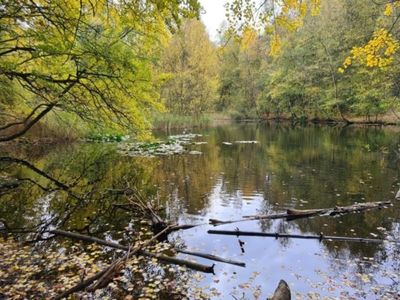 Top modernes Reihenhaus an der Fischbeker Heide (Naturschutzgebiet)