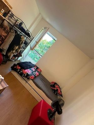 A WELL FURNISHED ROOM IN A VIBRANT FLATSHARE APARTMENT.