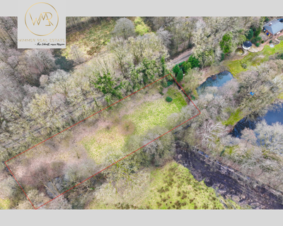 Einzigartiges Grünland im Vorbrucher Moor, Schwanewede-Neuenkirchen