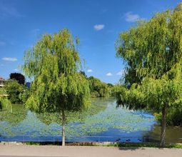 Direkter Blick auf den Mühlent