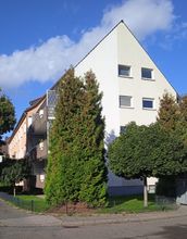 IMG_20251013_120718