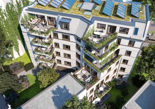 THE-GREEN-COAL_Rückansicht