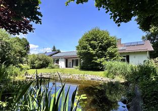 Naturteich und Garten