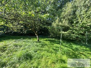 Garten mit Baumbestand