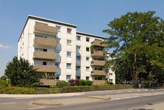 Hammerschmidtstraße