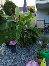IMG_20200930_163909