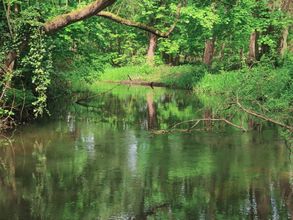 Da, wo die Natur Zuhause ist