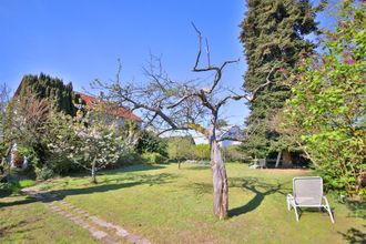 Schöner großer Garten