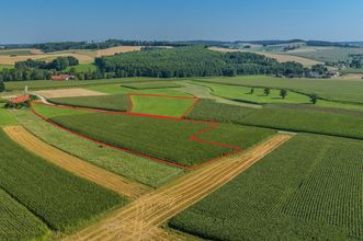 Grundstücke rot markiert