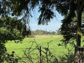 ..direkt angr. an Wiesen/Felder