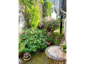 Garten 1