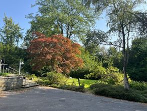 Ansicht Garten