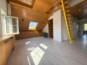 Großzügiges Wohnzimmer