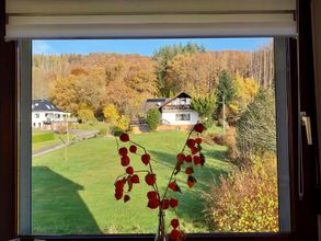 Blick aus dem Küchenfenster