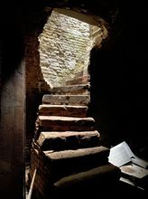 Treppe Gewölbekeller