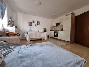 Wohn-und Schlafzimmer mit Küchenzeile