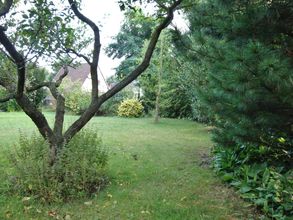 Vorderer Garten