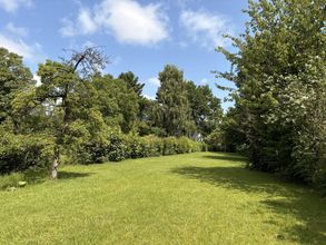 wunderschöner Garten