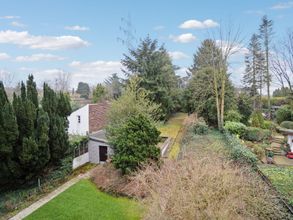 Blick in den Garten