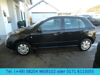 Skoda Fabia Ambiente 1.Hand 8-fach bereift