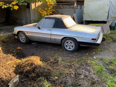 Alfa Romeo Spider *Scheuenfund*