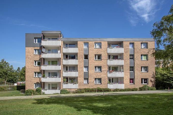 Asternwinkel 2