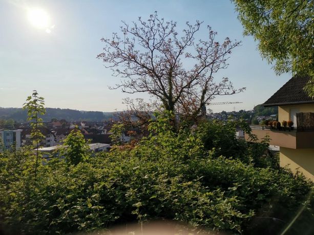 Bild 0