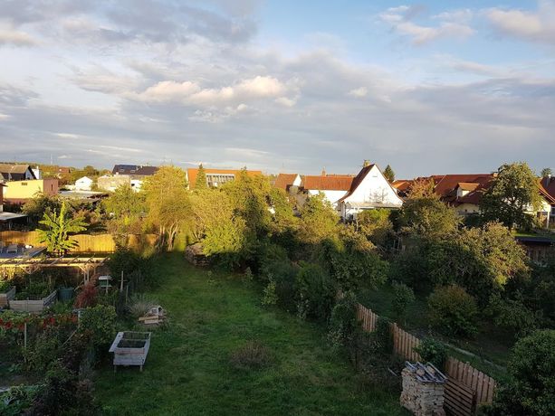 Blick auf den Garten