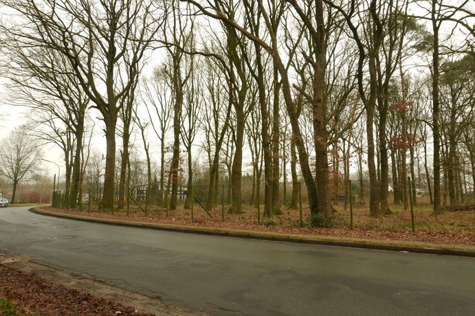 Straßeansicht Unfriedstraße