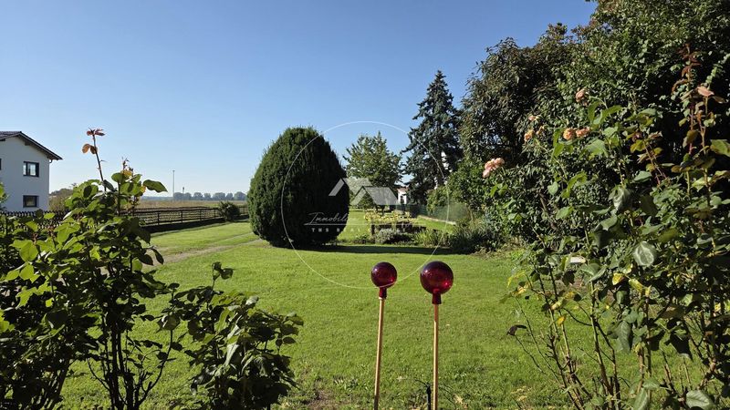 Blick in den Garten