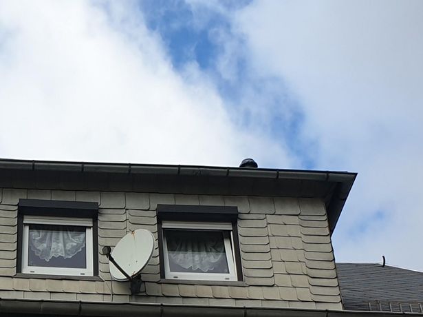 Küchen Fenster