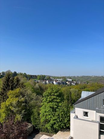 Ausblick