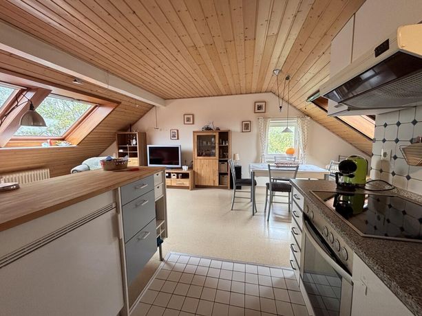 Blick in den gemütlichen Wohnraum mit Einbauküche