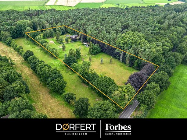 02Titelbild-Gudendorf-Charmantes-Häuschen-im-Wald